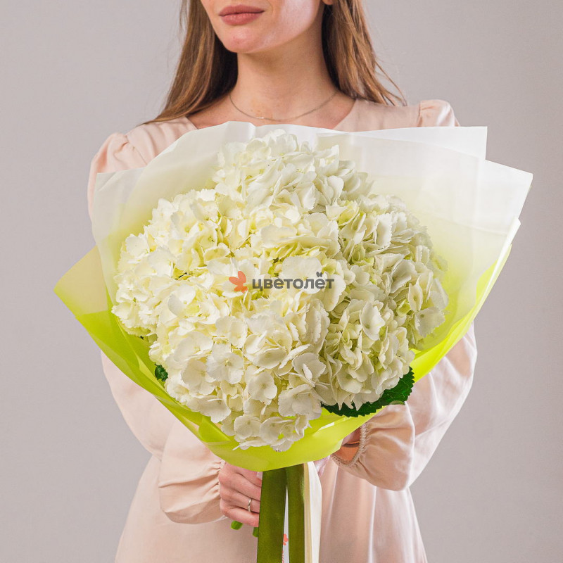 Лепестки чувств