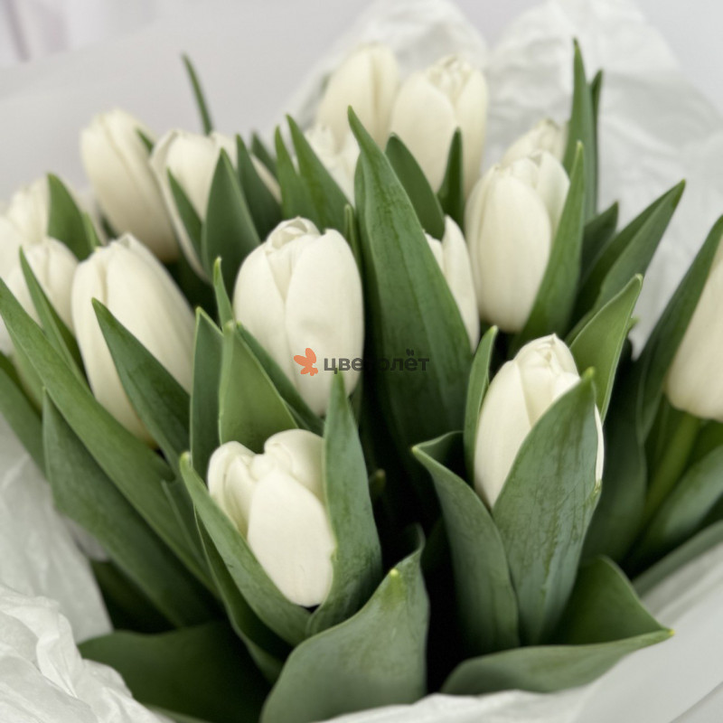 Весенний вальс