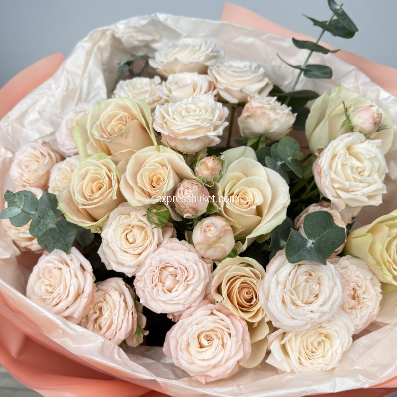 Самая замечательная