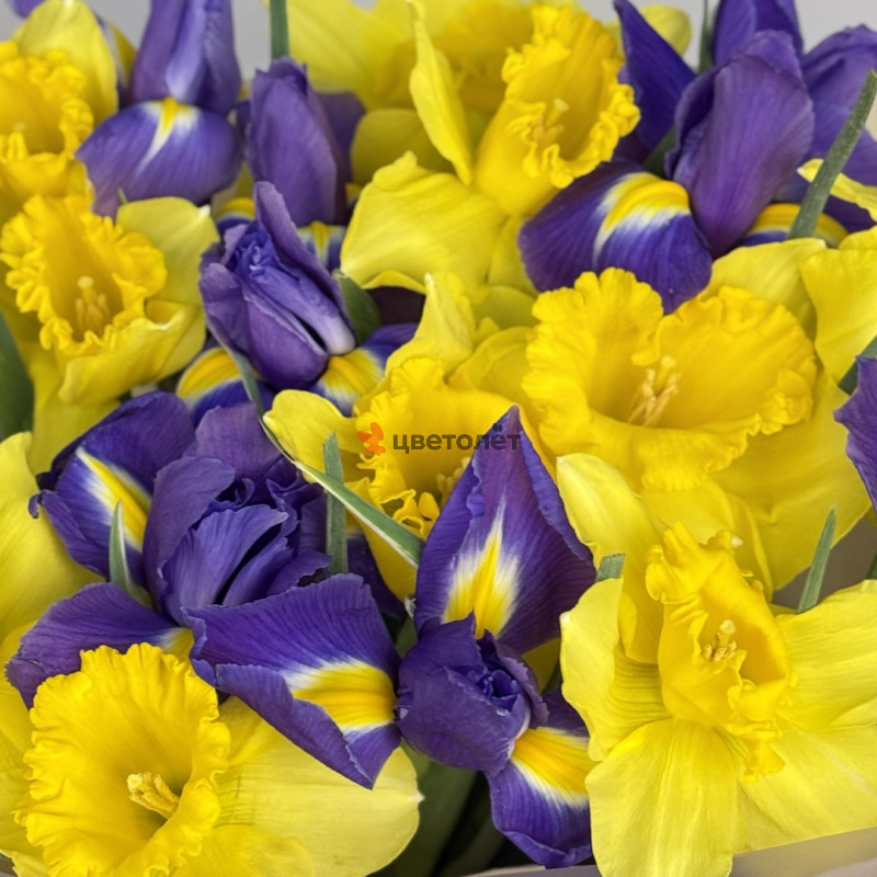 Букет с нарциссами и ирисами