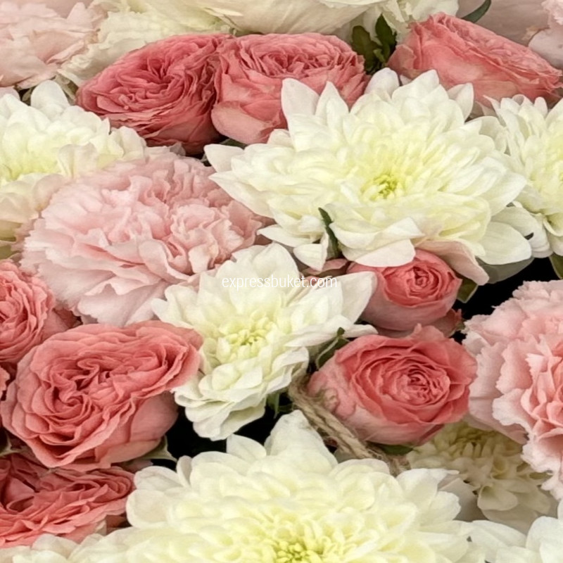 Легкое настроение