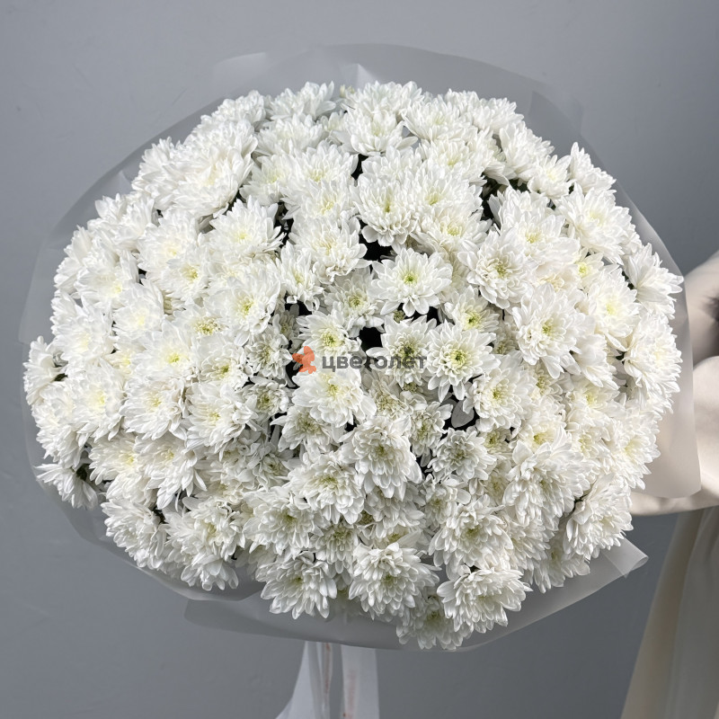 Большое облако из хризантем