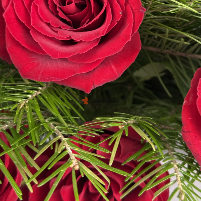 Зимняя сказка