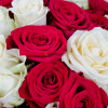 Букет красных и белых роз 51 шт